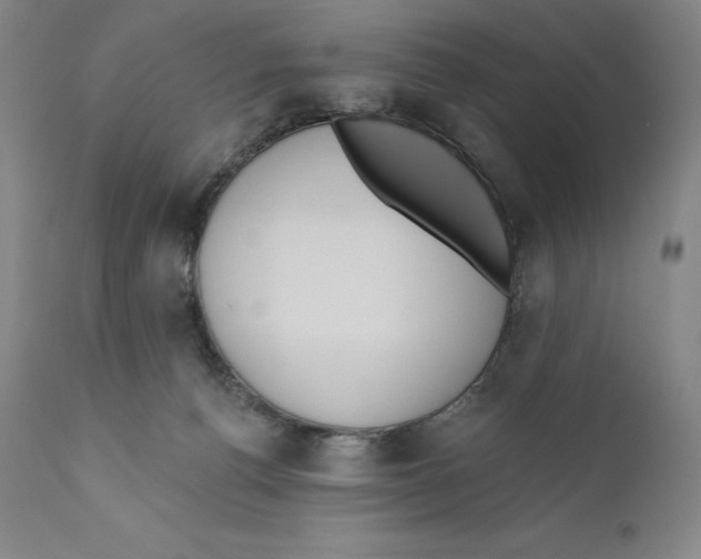 X0000110720176200907101413