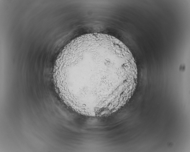 X0000110720177200907101413