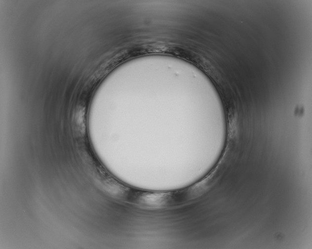 X0000110720178200907101413