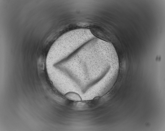 X0000110720180200907101413