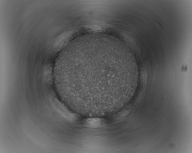 X0000110720181200907101413