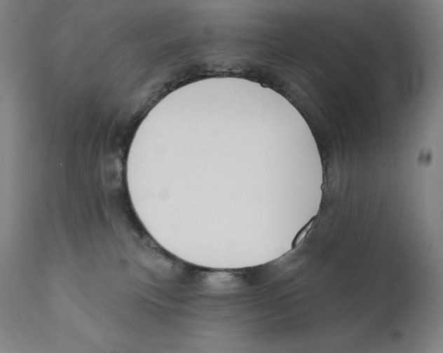 X0000110720183200907101413