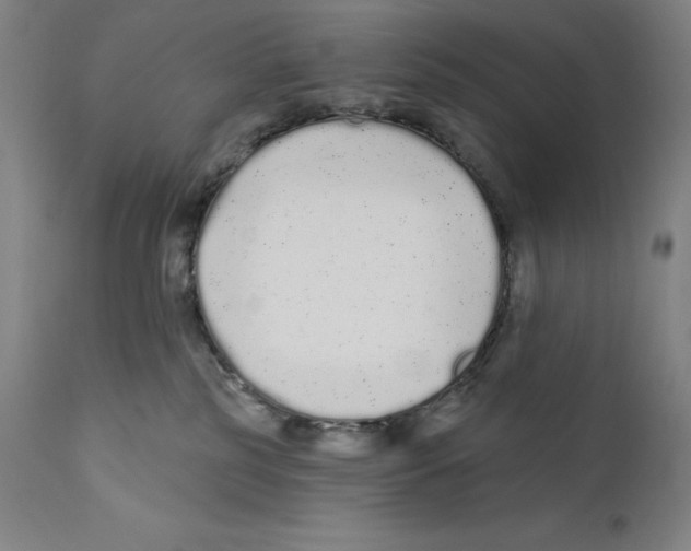 X0000110720185200907101413