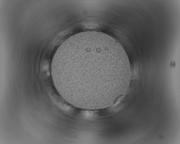 X0000110720187200907101413