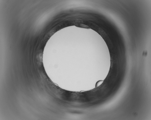 X0000110720190200907101413