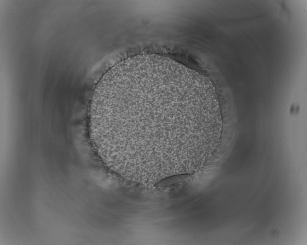 X0000110720192200907101413