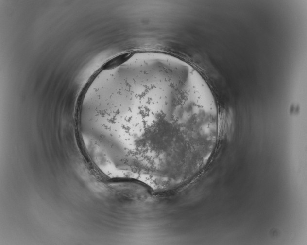 X0000110720195200907101412