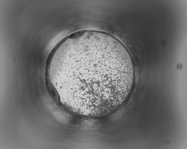 X0000110720199200907101412