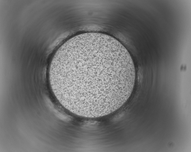 X0000110720206200907101412