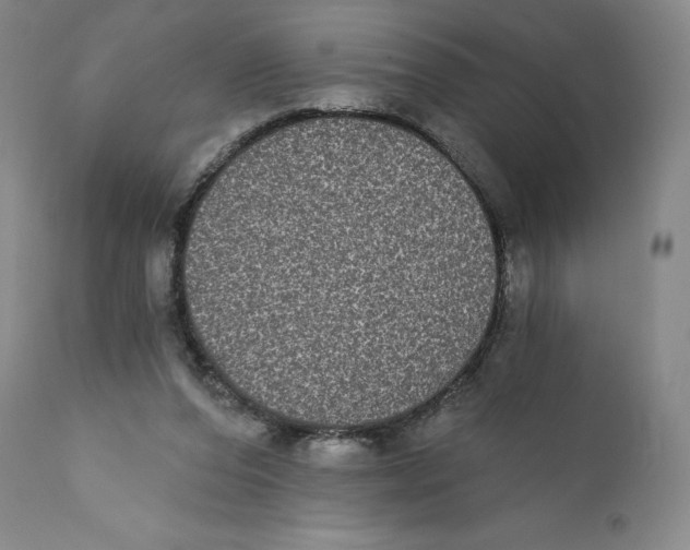 X0000110720208200907101412