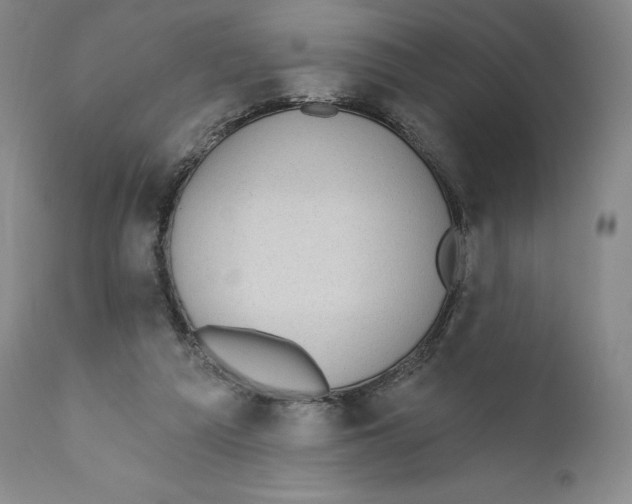 X0000110720209200907101412