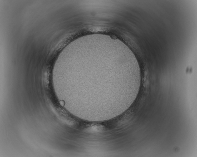 X0000110720210200907101412