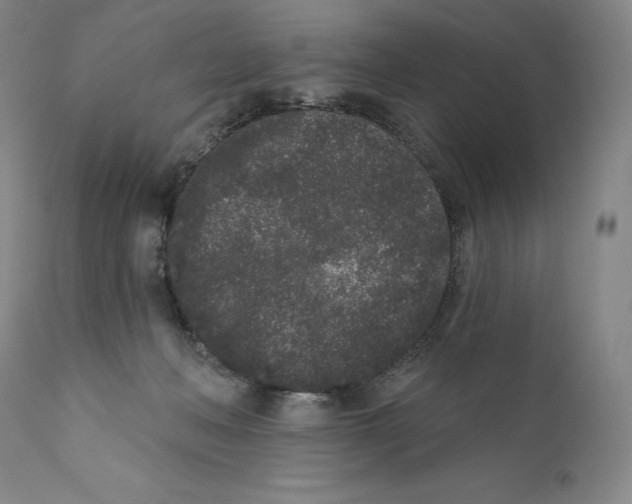 X0000110720222200907101412