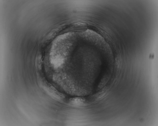 X0000110720223200907101412