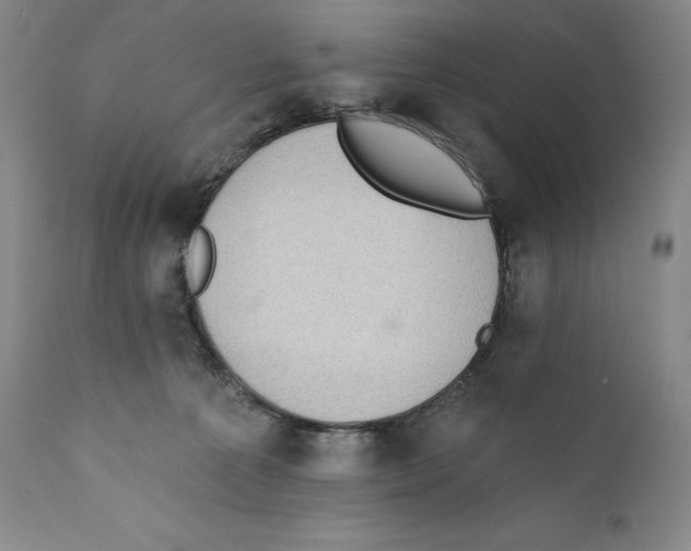 X0000110720225200907101411