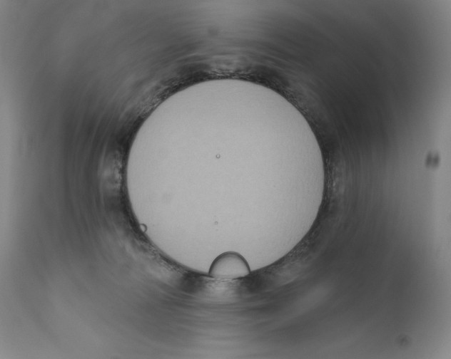 X0000110720226200907101411