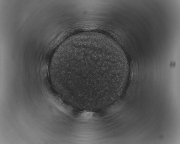 X0000110720227200907101411