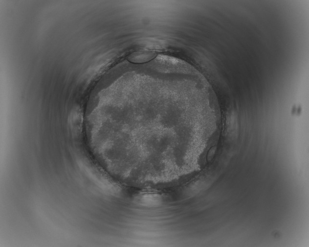 X0000110720228200907101411