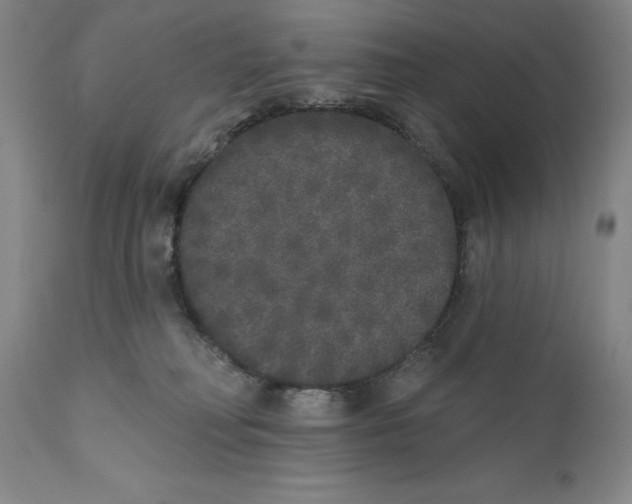 X0000110720230200907101411