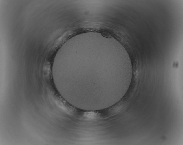 X0000110720231200907101411