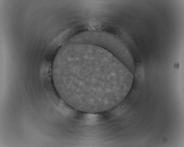 X0000110720233200907101411