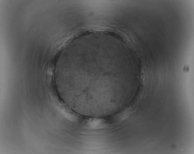 X0000110720235200907101411