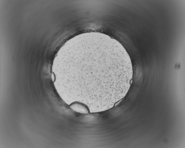 X0000110720236200907101411