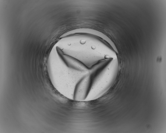 X0000110720237200907101411