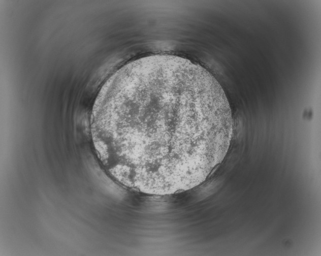 X0000110720238200907101411