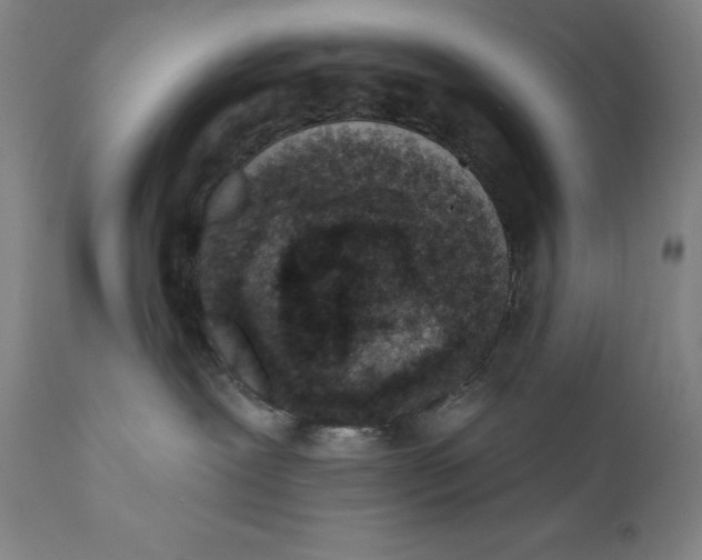 X0000110720239200907101411