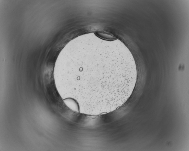 X0000110720240200907101411