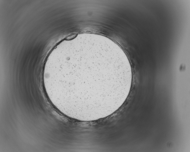 X0000110720241200907101410