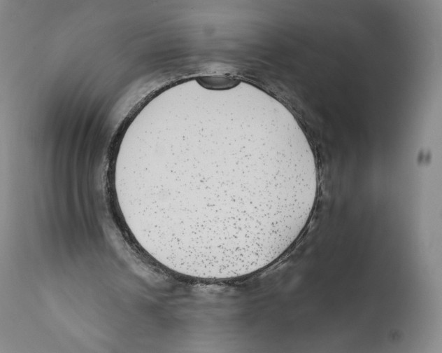 X0000110720242200907101410