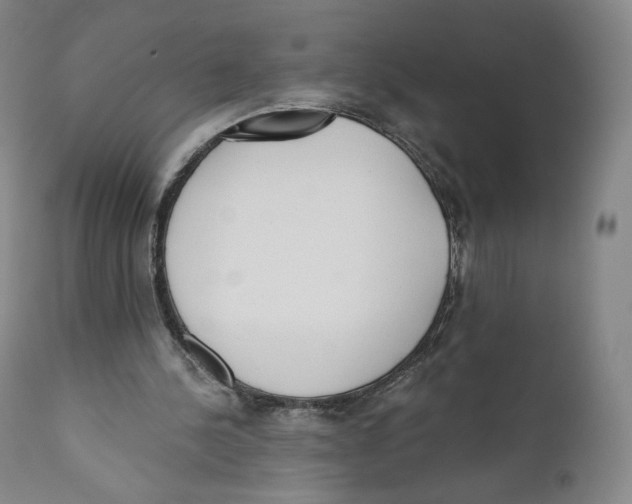 X0000110720244200907101410