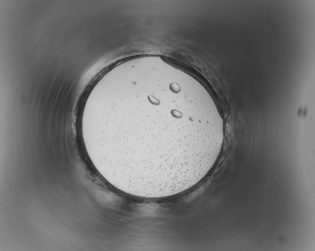 X0000110720246200907101411