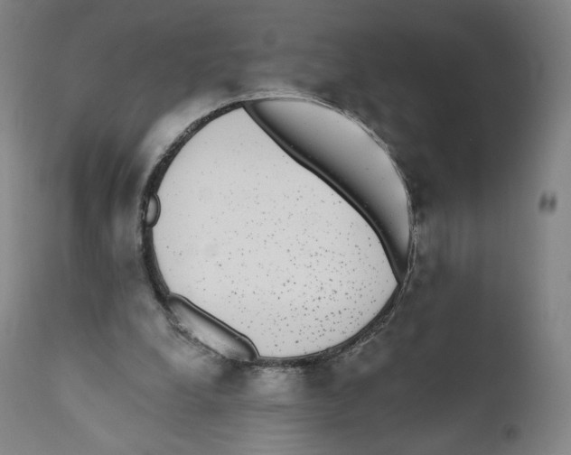 X0000110720248200907101411