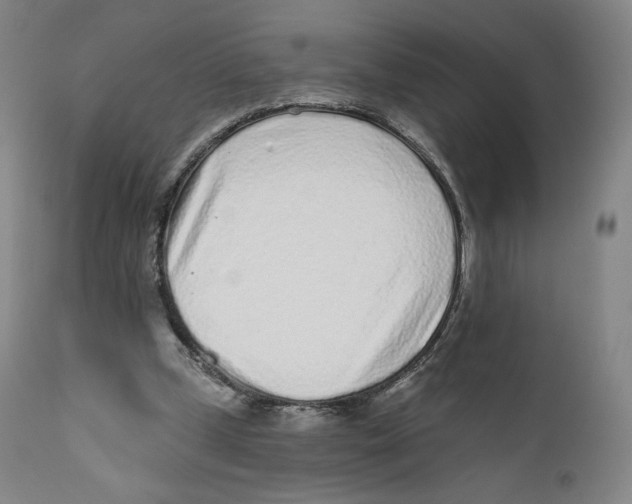 X0000110720249200907101411