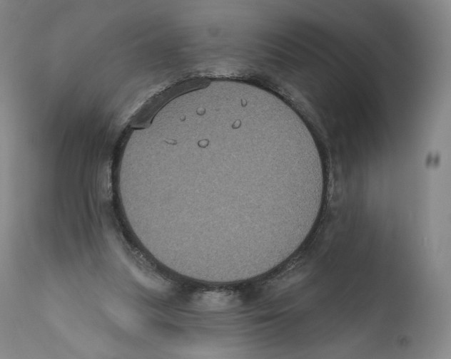 X0000110720251200907101411