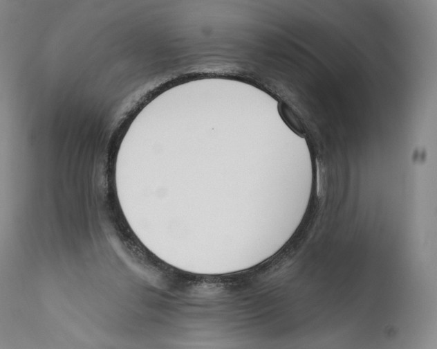 X0000110720252200907101411