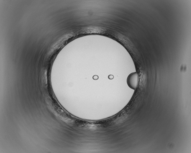 X0000110720254200907101411