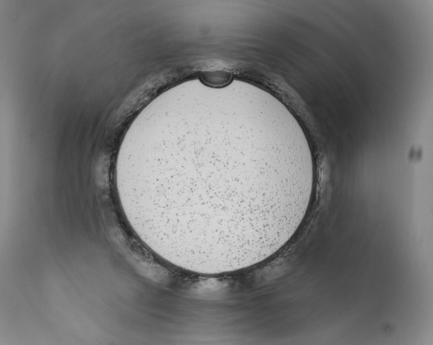 X0000110720257200907101411