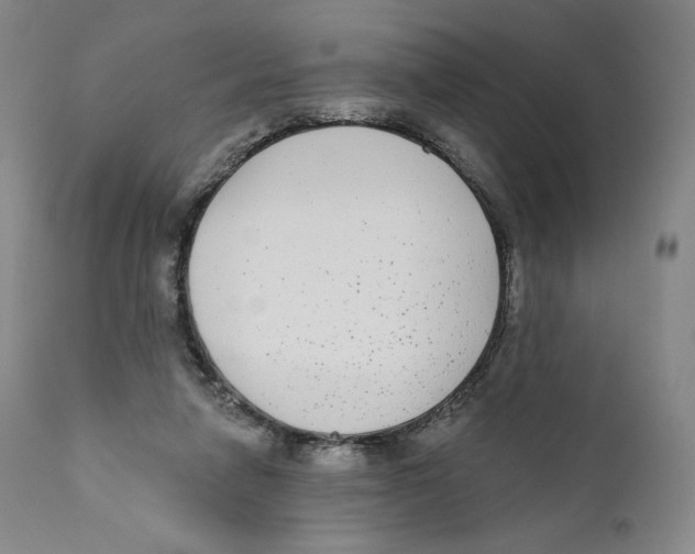 X0000110720258200907101411