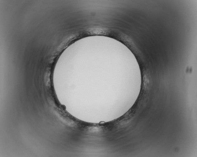 X0000110720259200907101411