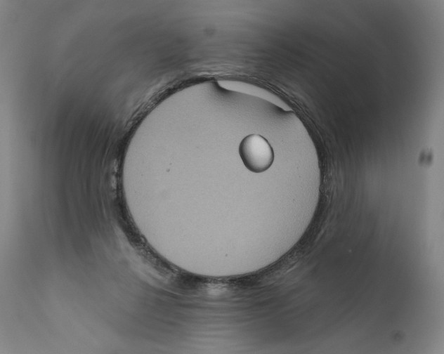 X0000110720264200907101411