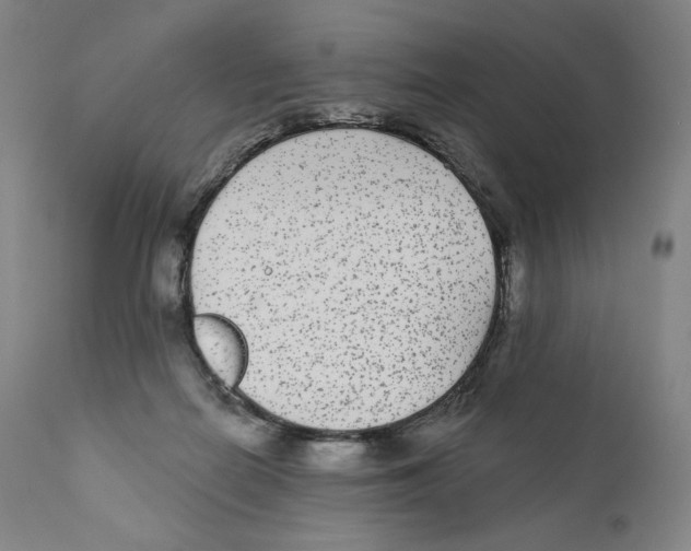 X0000110720266200907101411