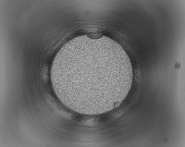 X0000110720267200907101411