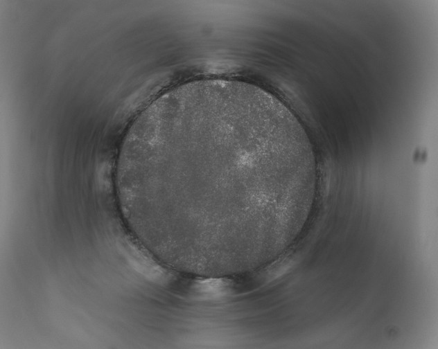 X0000110720269200907101411