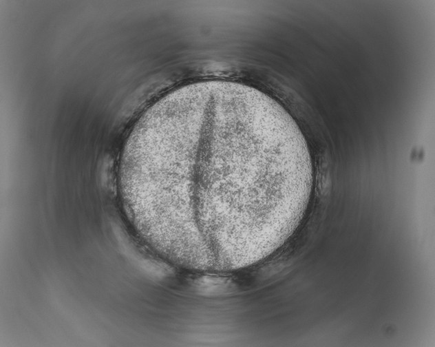 X0000110720270200907101411