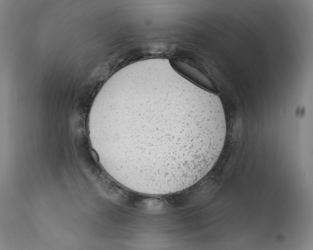 X0000110720272200907101411