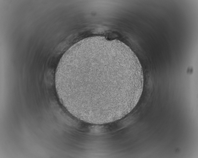 X0000110720273200907101411